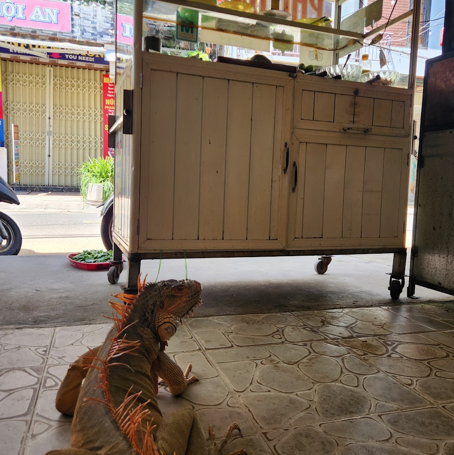 フィーバインミーのイグアナ