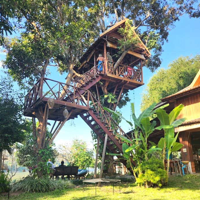シルクロードカフェのツリーハウス